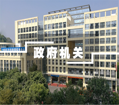 玫瑰